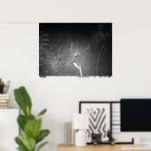 Poster de la caméra Monster Buck Trail (Bureau à domicile)