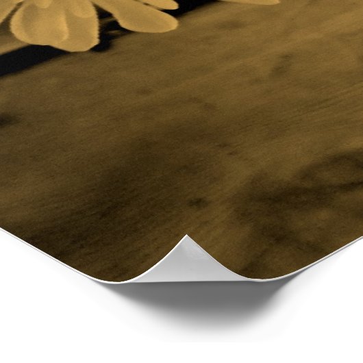 Poster de la campagne (Coin)