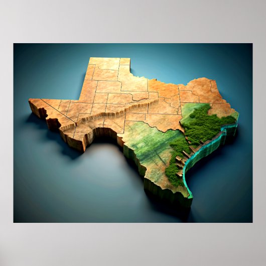 Poster de la carte 3D Texas (Devant)