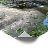 Poster de la cascade (Coin)