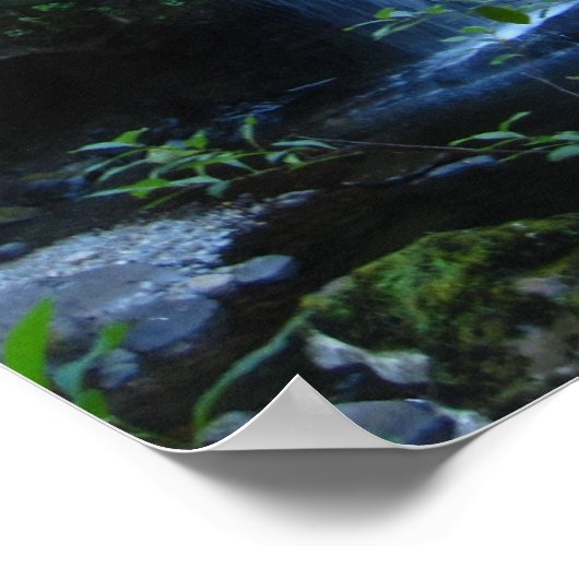 Poster de la cascade (Coin)