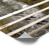 Poster de la cascade (Coin)