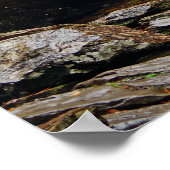 Poster de la cascade (Coin)