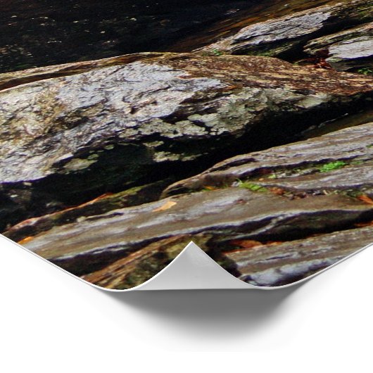 Poster de la cascade (Coin)