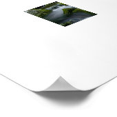 Poster de la cascade (Coin)