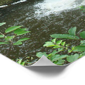 Poster de la cascade (Coin)