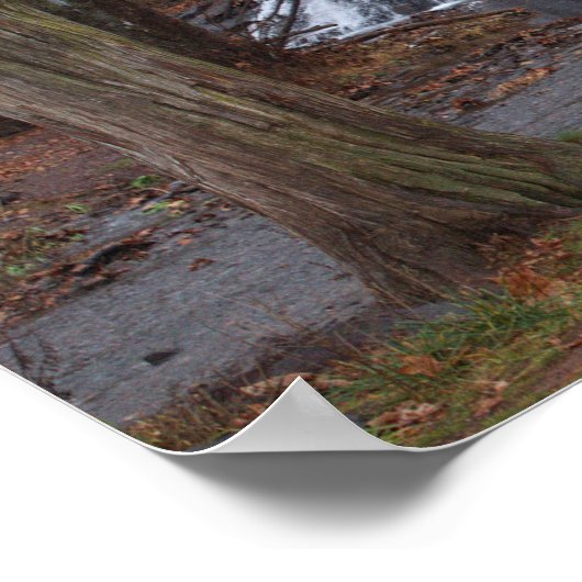 Poster de la cascade d'automne (Coin)
