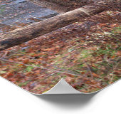 Poster de la cascade d'automne (Coin)