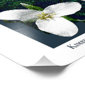 Poster de la cascade de l'Oregon (Coin)