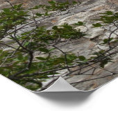 Poster de la cascade des champs de cimetière ... B (Coin)