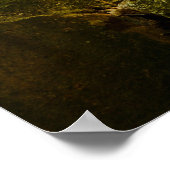 Poster de la cascade forestière (Coin)