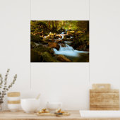 Poster de la cascade forestière (Cuisine)