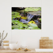Poster de la cascade Lilly Pad (Cuisine)