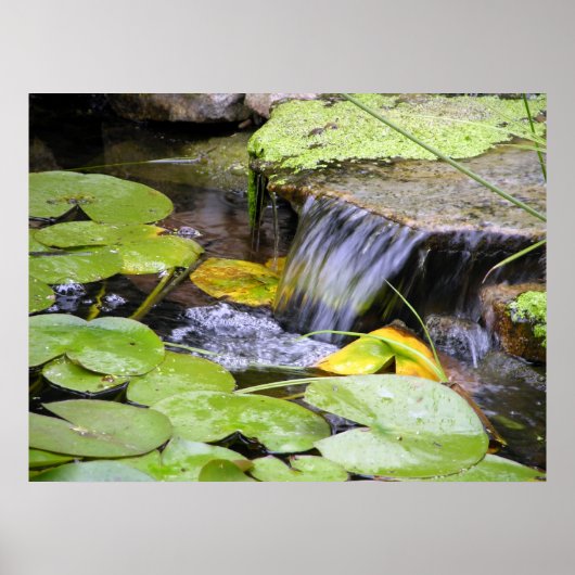 Poster de la cascade Lilly Pad (Devant)