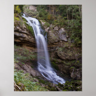 Poster de la cascade sauvage (Matte)