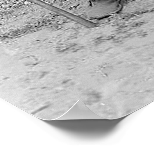 Poster de la chaîne sud de 1900 (Coin)