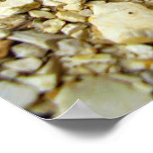 Poster de la Chèvre Moth Caterpillar (Coin)