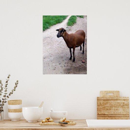Poster de la chèvre sur le sentier (Cuisine)