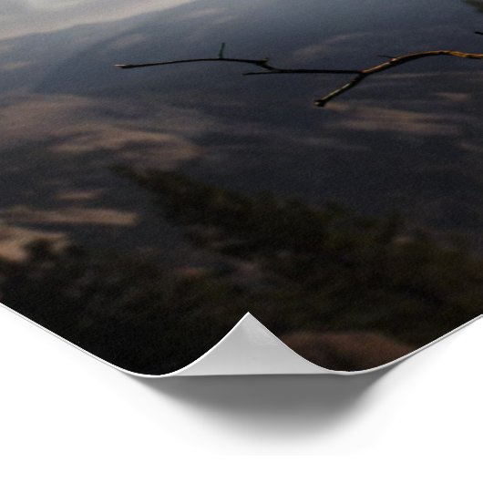 Poster de la Chouette (Coin)