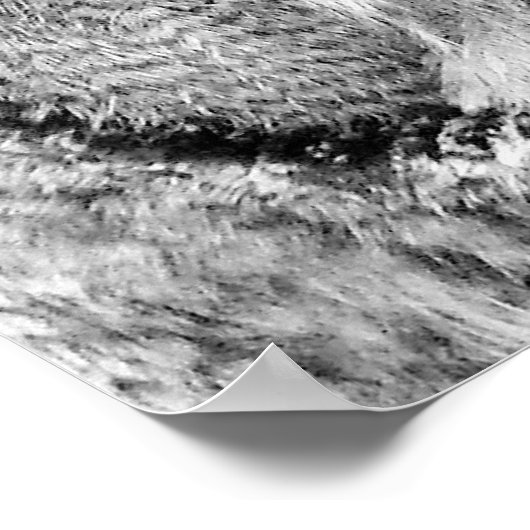 Poster de la chouette 'Beady Eyes' (Coin)