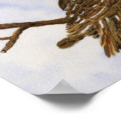 Poster de la Chouette de Saw-Whet (Coin)