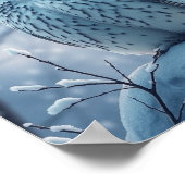 Poster de la Chouette des neiges (Coin)