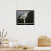 Poster de la Chouette des neiges (Cuisine)