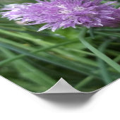 Poster de la cire en fleurs (Coin)