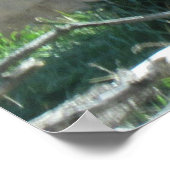 Poster de la citation du Lion Dalai Lama (Coin)