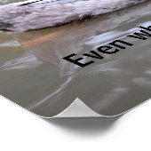 Poster de la classe de persévérance (Coin)