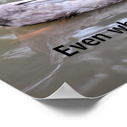 Poster de la classe de persévérance (Coin)