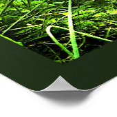 Poster de la cocotte de la Wyandotte en argent Pos (Coin)