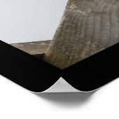 Poster de la colombe (Coin)