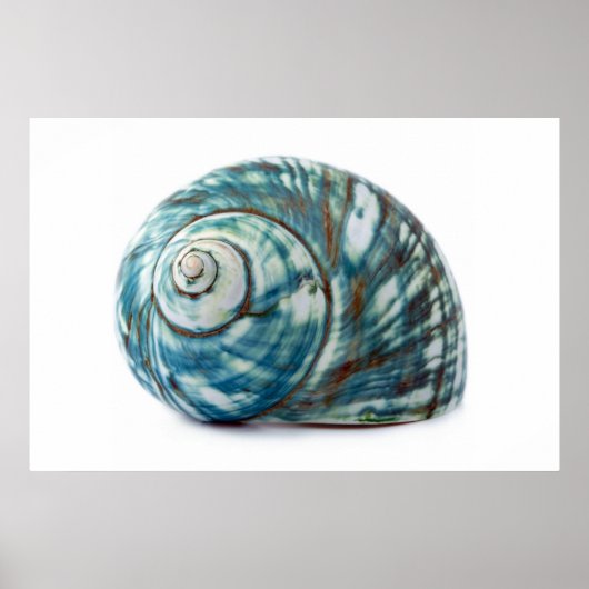 Poster de la coque de la mer bleue (Devant)