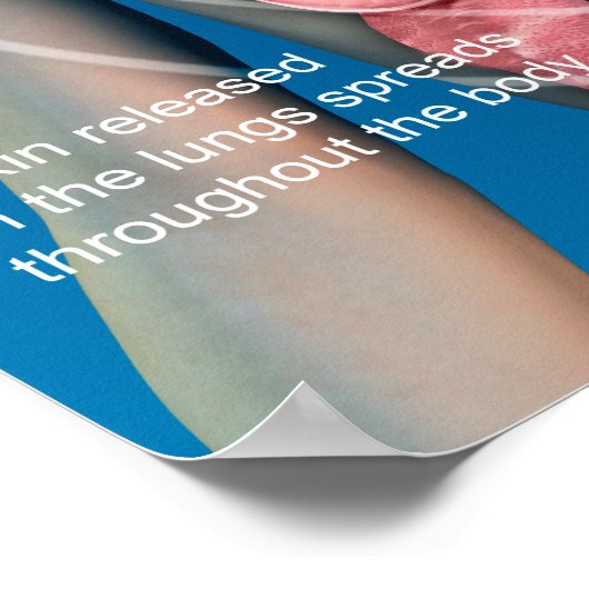 Poster de la coqueluche (Coin)