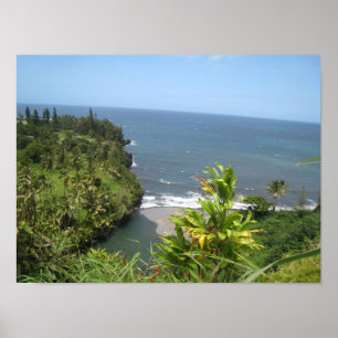 Poster de la côte hawaïenne