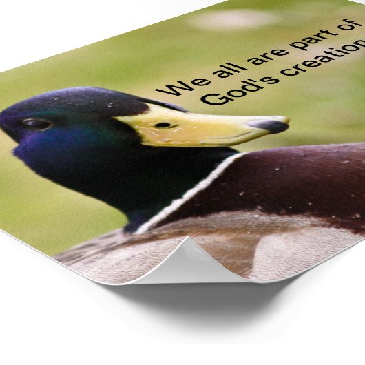 Poster de la création de Dieu (Coin)