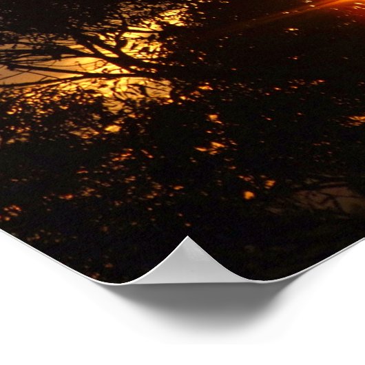 Poster de la créole (Coin)