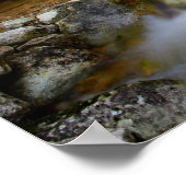 Poster de la crique de la forêt rocheuse (Coin)