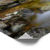 Poster de la crique de la forêt rocheuse (Coin)