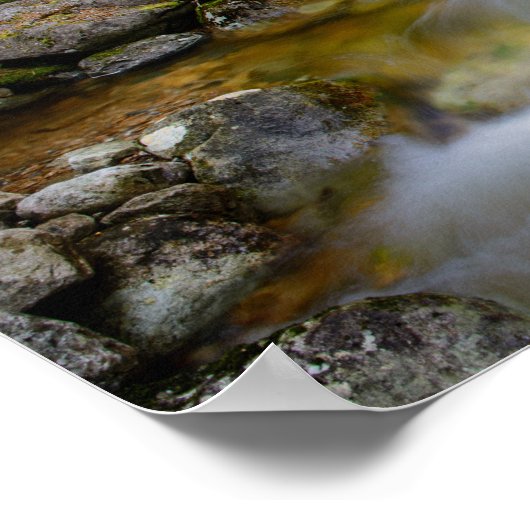 Poster de la crique de la forêt rocheuse (Coin)