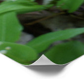 Poster de la dame (Coin)