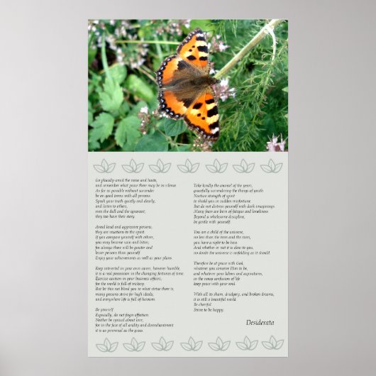 Poster de la desiderata motivationnelle papillon (Devant)
