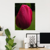 Poster de la douche Tulip (Bureau à domicile)