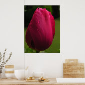 Poster de la douche Tulip (Cuisine)