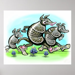 Poster de la famille Armadillo