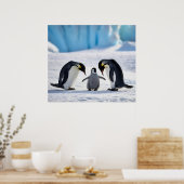 Poster de la famille Penguin (Cuisine)