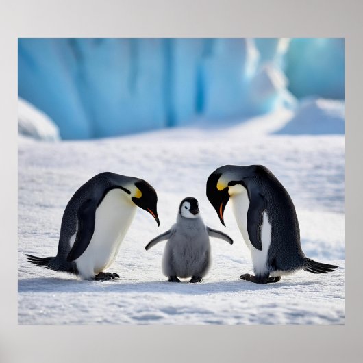 Poster de la famille Penguin (Devant)