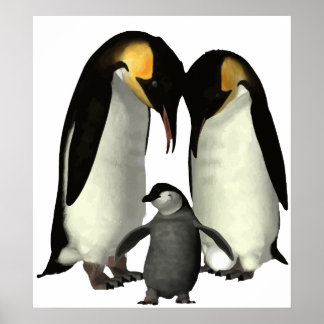 Poster de la famille Penguin