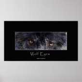 Poster de la faune Black Wolf Eyes (Devant)